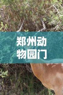 [教程经验]“微乐捉鸡麻将怎样玩才能赢分	”(透视)开挂辅助脚本+详细开挂安装教程