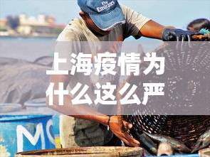 【终于出现】“微乐麻将外卦神器下载安装微信号	”详细外挂安装步骤