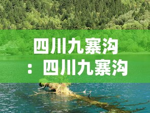 辅助教程分享“微乐卡五星为什么老是输”(原来确实是有插件)