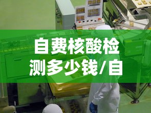 辅助教程分享“玩干瞪眼的技巧攻略”辅助工具插件,揭秘技巧开挂
