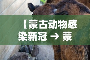 今日教程“微信河北微乐麻将挂”分享用挂教程