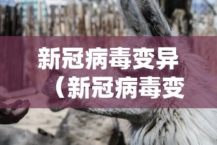 万能开挂辅助“微友娱乐有没有挂啊？”(透视)开挂辅助脚本+详细开挂安装教程