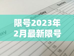 开挂辅助工具“微乐广西麻将技巧”(原来确实是有挂)